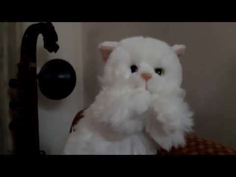 Prince Rama Varma - Hello Pussycat  !