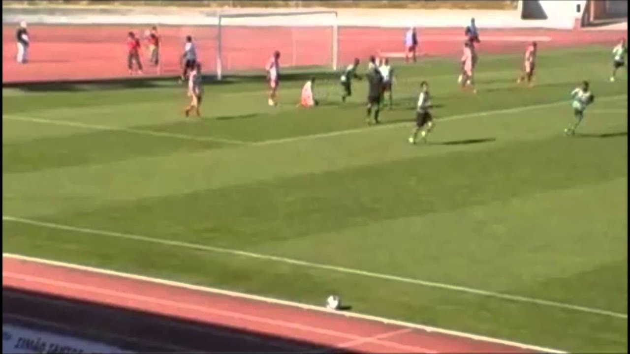 Ibra - Melhores Momentos (Highlights) 2013/2014