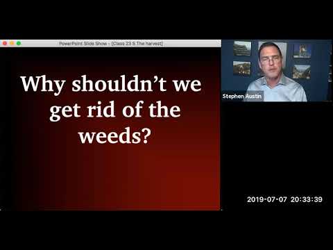 724 LIFE OF CHRIST Video   43    of   87