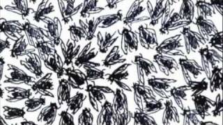 In the Lake of the Woods