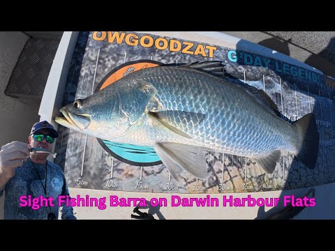 Fishing Darwin Harbour for Barramundi on the flats. #barramundi #fishing #darwinharbour