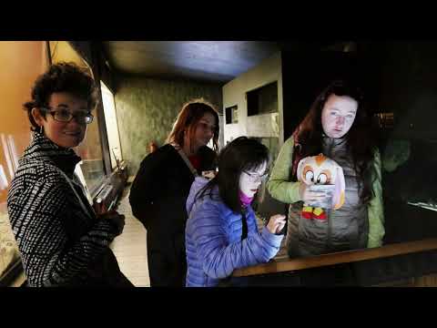 DS KOCIÁNKA - VÝLET DO ZOO