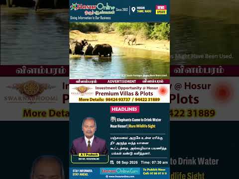 Elephant Herd Spotted Drinking Water at Lake Near Manjumalai, Hosur