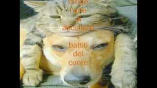 djdom tango (la melodia del corazon - edgardo donato).flv