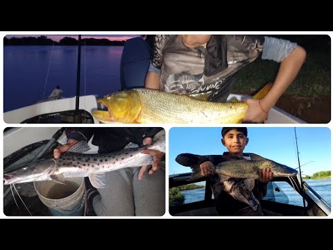 Pesca en Esquina Corrientes🔥🎣(capitulo 1)