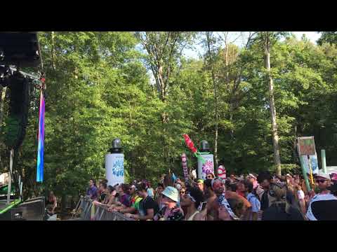 Crooked Colours DJ Set at the Where In The Woods stage at Bonnaroo 2019