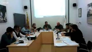 Ple municipal de 29 d'abril de 2019