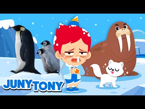 Polar Region Animals | 🥶🐧 Penguins, Polar Bear, Walrus | Animal Songs and Stories | JunyTony