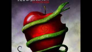 The Last Goodnight - Stay Beautiful (With lyrics on description)