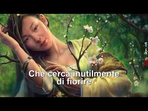 Uno sguardo verso il cielo (Le Orme)