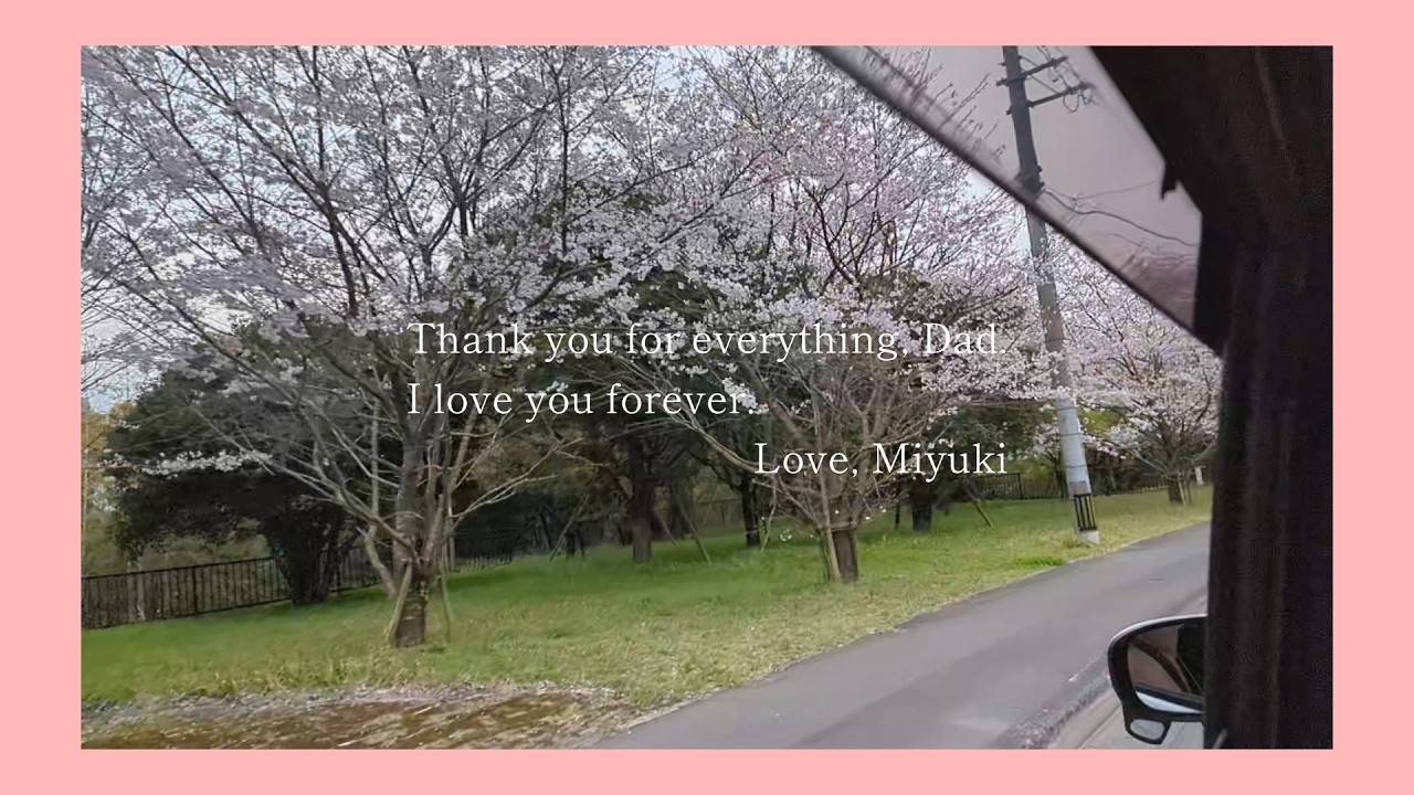 通常動画再開の前に