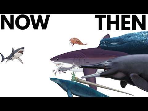 The Biggest Aquatic Predators in Earth’s History