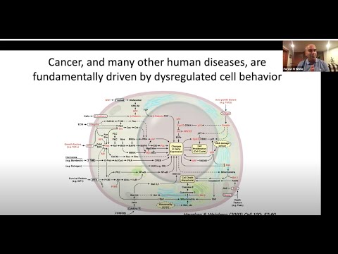 neuroendokrin rák biomarker)