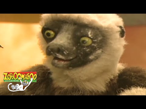 🐒 Zoboomafoo 116 - Itchy | HD | Full Episode🐒