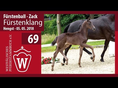 069 Fürstenklang HF v. Fürstenball - Zack