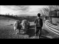 Doină Song From Maramureș Area
