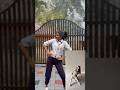 With Husky Baby Dance Funny Fypyoutube Fypシ Reels Husky Entertainment Subscribe