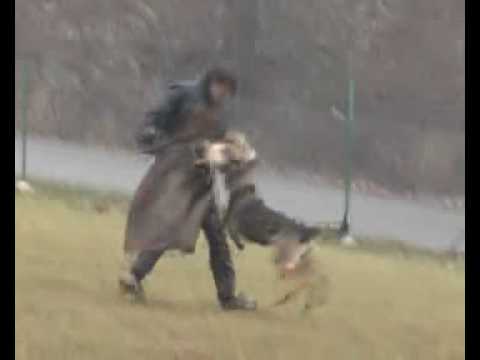 Yucci Vikar-protection