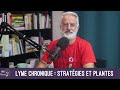 Lyme chronique : stratégies et plantes