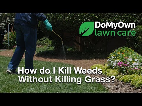  How Do I Kill My Weeds Without Killing My Grass? - Weed Control Tips Video 