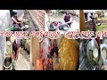 এই গরমে পরিশ্রমের কাজ গুলো কখন করলে আম