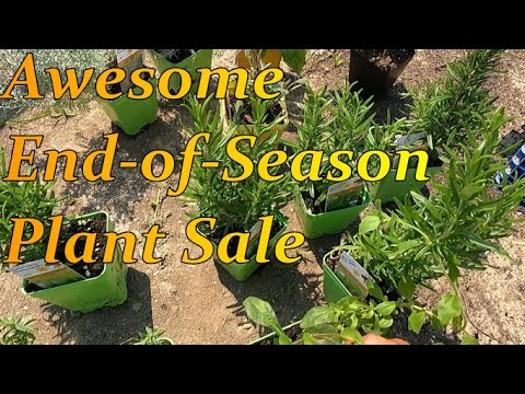Awesome End-of-Season Plant Sale