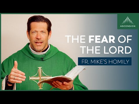 The Fear of the Lord | Twelfth Sunday in Ordinary Time (Fr. Mike's Homily) #sundayhomily