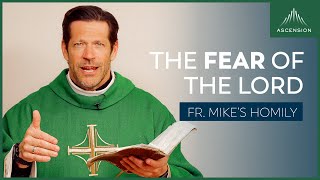 The Fear of the Lord | Twelfth Sunday in Ordinary Time (Fr. Mike's Homily) #sundayhomily