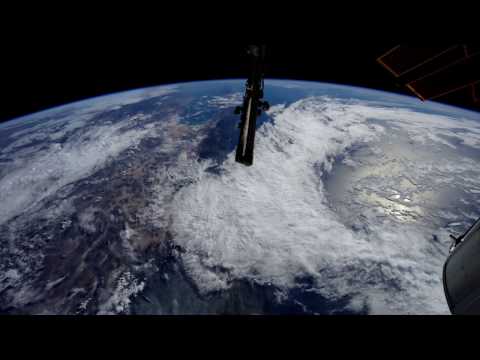 Flitz&Suppe x Omaure  -  4 wheels