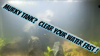 How to a Clean Cloudy Aquarium After Aquascaping &How to Stop Floating Plants From Sinking or Moving