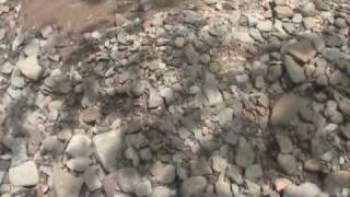 Creek hunting arrowheads