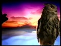 MTV3 Elokuvan Jälkeen Lähetys Päättyy 17 5 1997