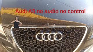 Audi A5 no screen no sound amplifier replacement and programming,water damage due to sunroof