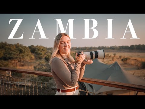 My Trip to Zambia | Victoria Falls & Safari