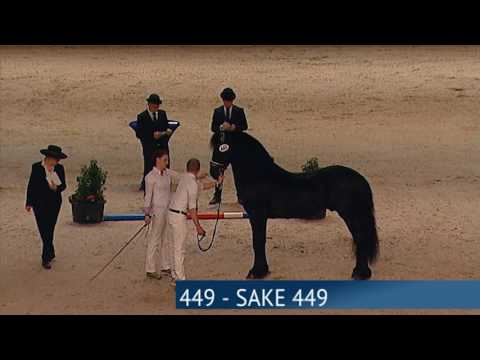 Hengstenkeuring 2017 – Rubriek 03