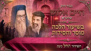 הרב חיים אלוש שליט״א בשיעור מחזק בישיבה הקדושה מתורת רבי יאשיהו פינטו שליט״א 👑✨