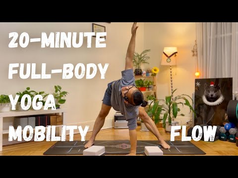 20 Minute Full Body Yoga Mobility Flow YouTube