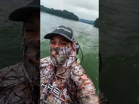 PESCARIA EM MAIRIPORÃ UMA NOVA DESCOBERTA #mairiporã #pesca #pescariabrasil #caiques #saopaulo