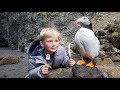 5 Day Iceland Adventure - Eating Puffin, Whale & Shark