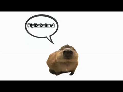 pipi und kaki in pipikakaland