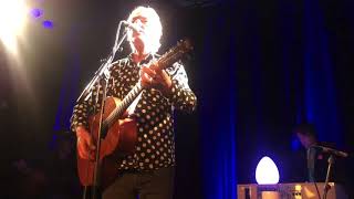 ROBYN HITCHCOCK - “Sweet Ghost Of Light” 3/3/20