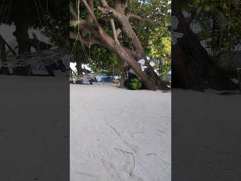 Maldives🏖️🏖️🏖️🏝️🏝️🏝️🏝️ #beat #foryou #beach #maldives #bakingingredients #food #maldivian