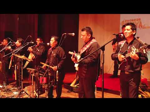 SOLO SIN TU AMOR EN VIVO - SUMAYA ANDINA