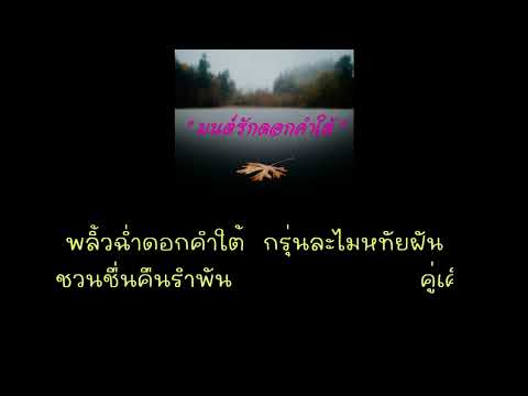 คลิกเพื่อดูคลิปวิดีโอ
