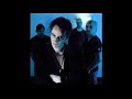Project Pitchfork - "Wish"
