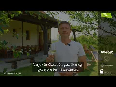 (HU) Zelena oaza, turisztikai farm B&B - SZÉTSZÓRT SZÁLLODA JERUZALEM SZLOVÉNIA