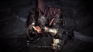 DARK SOULS III THE FIRE FADES EDITION　初見実況プレイPart21