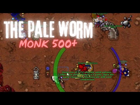 TIBIA MONK 500+ BOSS THE PALE WORM - TRAPNESS INABRA JAGUARS