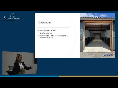 HK 2026 – Global export of Friesian horses | Pascale Drijfhout – Horses2Fly