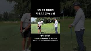 뒷땅 탑볼 지옥에서 턱 끝으로 살아남는 법 #다낭골프레슨#…
